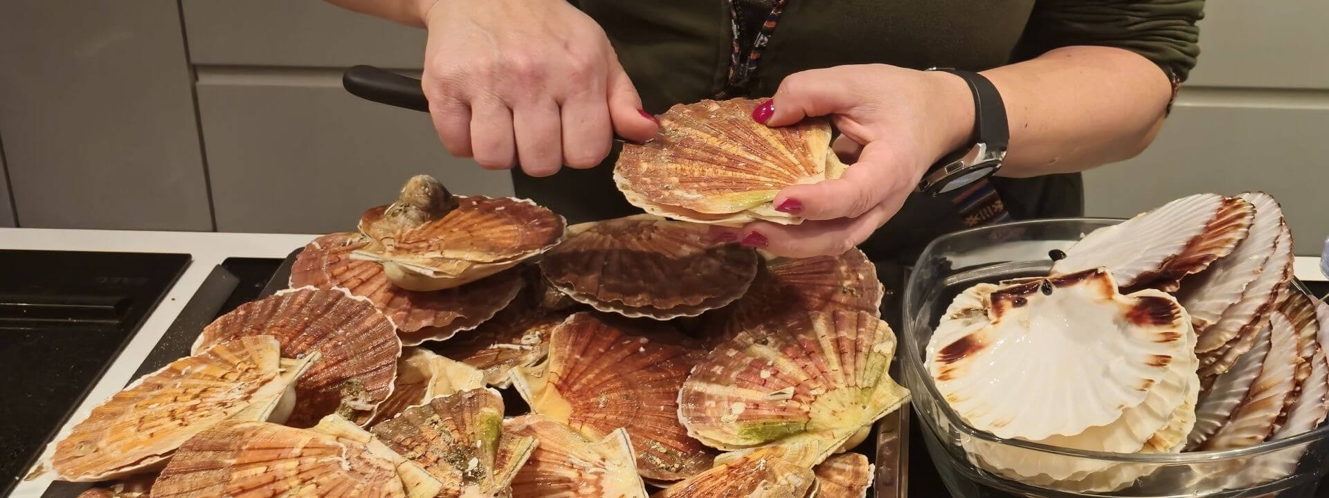 Atelier du soir "Tout Saint-Jacques" cover image